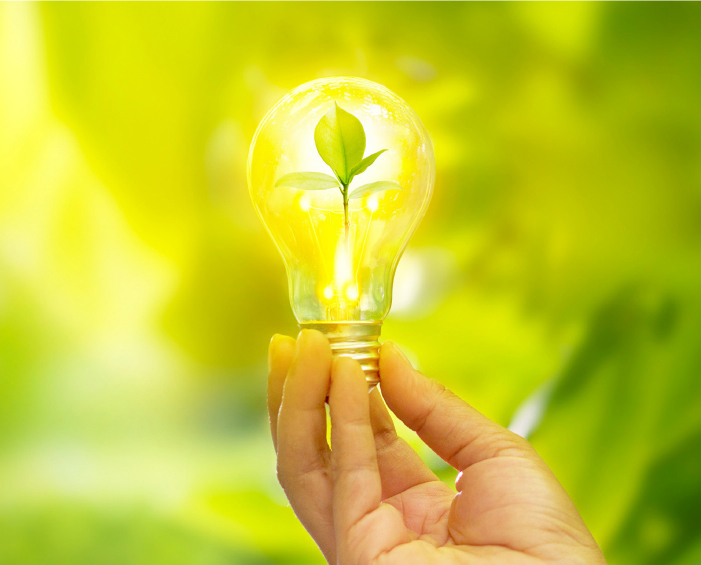 environmental hand holding a lightbulb with a leaf inside