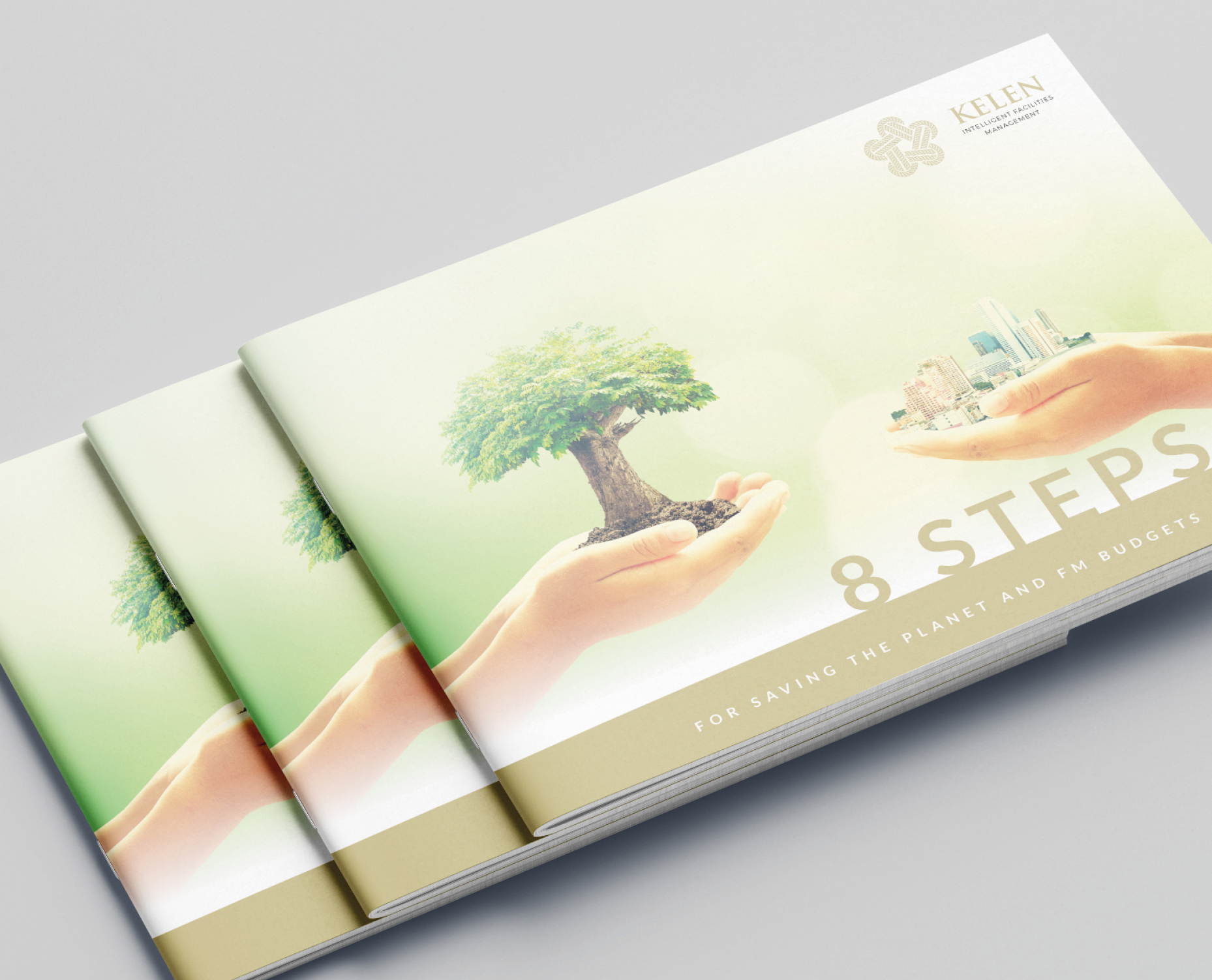 kelen report mockup 8 steps for saving the planet and FM budgets